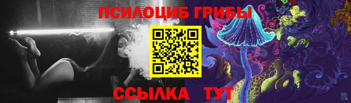 Псилоцибиновые грибы мицелий  закладки  Астрахань  Вход с VPN 